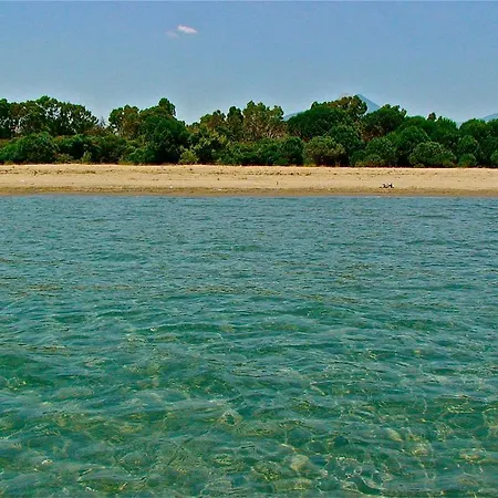 La Pineta A 100m Dal Mare Lejlighed